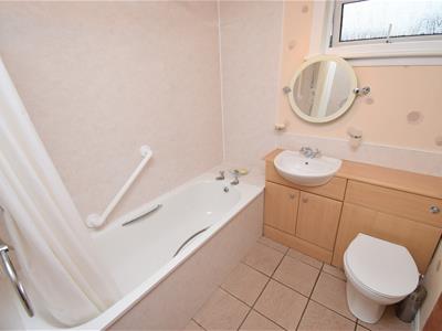 Picture 12